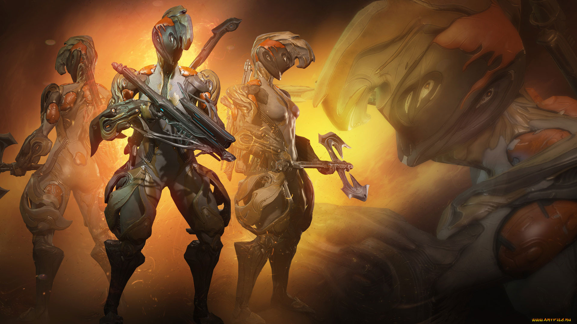  , warframe